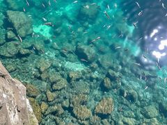 -三亚西岛海洋文化旅游区