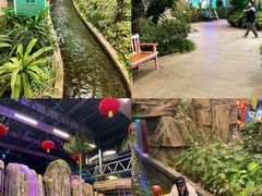 -南宫五洲植物乐园