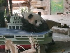 -灵玲国际马戏城