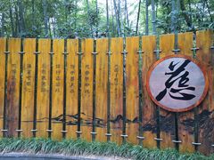 -天目湖山水园