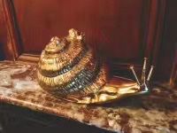 -金蜗牛