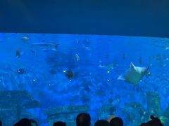 -横店影视城梦幻谷园区