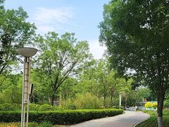 -燕郊植物园