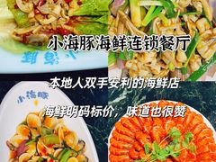 -亚龙湾热带天堂森林公园