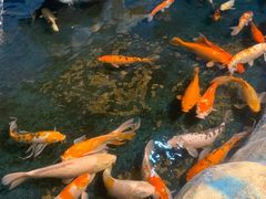 -泉州海丝野生动物世界