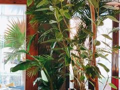 -the rug 飞毯 (朝阳公园店)