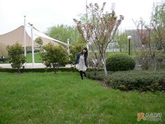 -东华大学(松江校区)