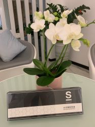 -AiCure 埃可儿·韩国医学皮肤管理