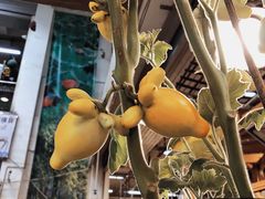 -双季花艺园艺市场(浦东店)