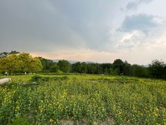 -北坞公园