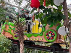 -南宫五洲植物乐园