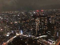 -东京都厅舍