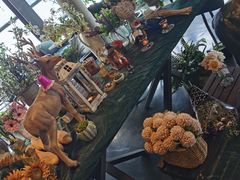 -LYFATTI 莱芙缇(赣水路店)