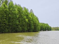 -上海海湾国家森林公园