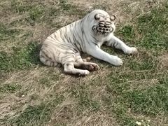 -无锡动物园·太湖欢乐园