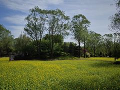 -北坞公园
