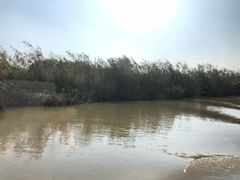 -长兴太湖图影湿地文化园