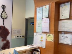 -瑞派申生动物医院·24H夜诊·国际动物医疗中心·骨外科(吴中路店)