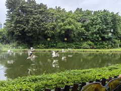 -广州长隆飞鸟乐园