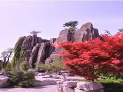 -济南植物园