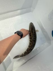 -268童话露营农场·烧烤·团建