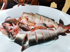 黑龙鱼-老刘生态大鱼坊铁锅炖鱼(赛马场店)