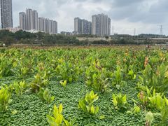 -那考河湿地公园