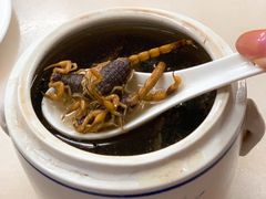 蝎子党参乌鸡汤-国英炖品店(甲子路店)