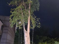 -马家斑.鲜鱼火锅(松湖万科店)