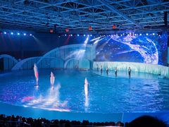 -海合安青岛极地海洋公园