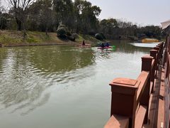 -上海海湾国家森林公园