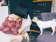 -阿狗圆子