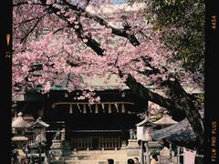 -上野公园花园稻荷神社(忍岡稲荷神社)