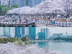 -西北湖绿化广场