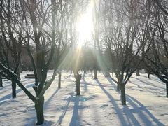 -长白岛森林公园