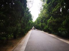 -八大关景区