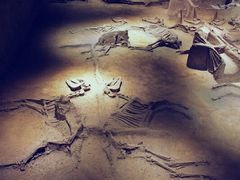 -洛阳周王城天子驾六博物馆