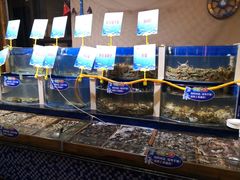 水产区-蓝海国际大饭店·蓝钻自助百汇(兰山店)