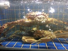 -徐记海鲜(汉城湖|太奥店)