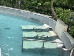 -碧水湾温泉