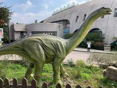 -自贡恐龙博物馆