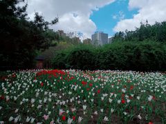 -长春公园(普阳街道)