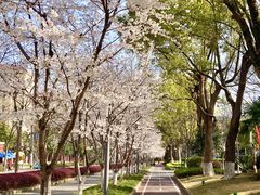 -锦江乐园(地铁站)