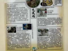 -青藏高原野生动物园
