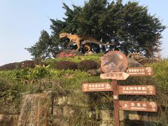 -自贡恐龙博物馆