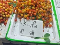 -马栏广场(地铁站)