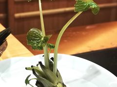 -橼舍鮨青木