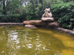 -天目湖涵田半山温泉