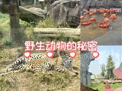 -武汉动物园