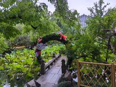 -上海醉白池公园